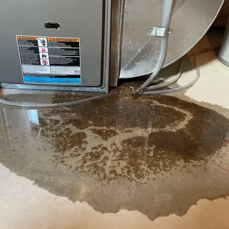 Appliance Leak Cleanup in Lauderdale County, AL